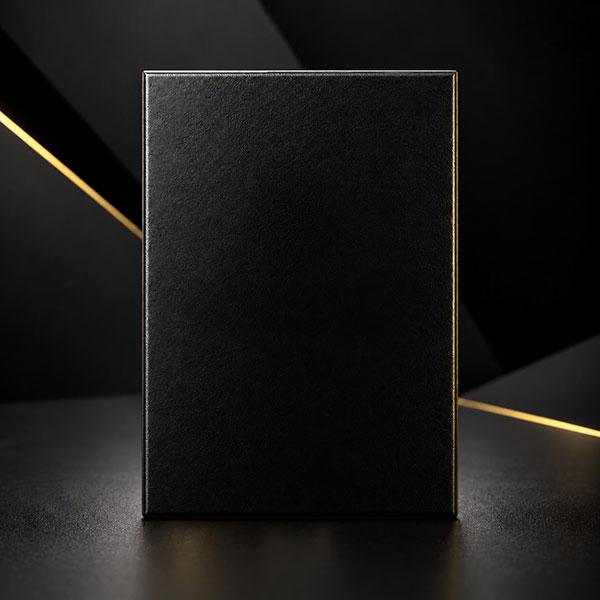 sleeve-joueur-neutre-noir-protection